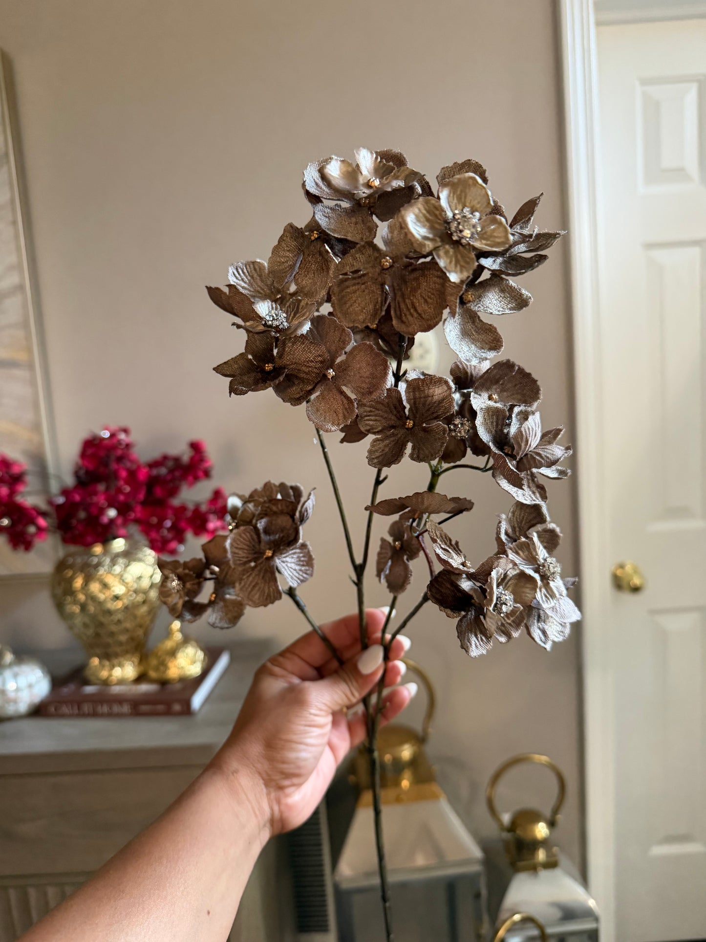Set Of 3 Hydrangea Brown