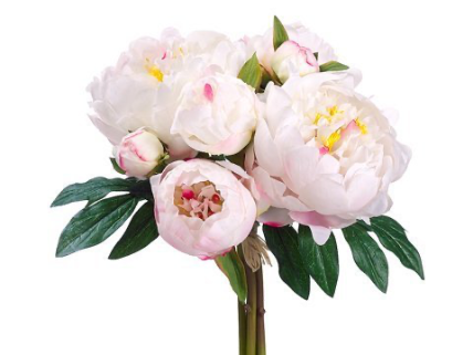 Peony bouquet