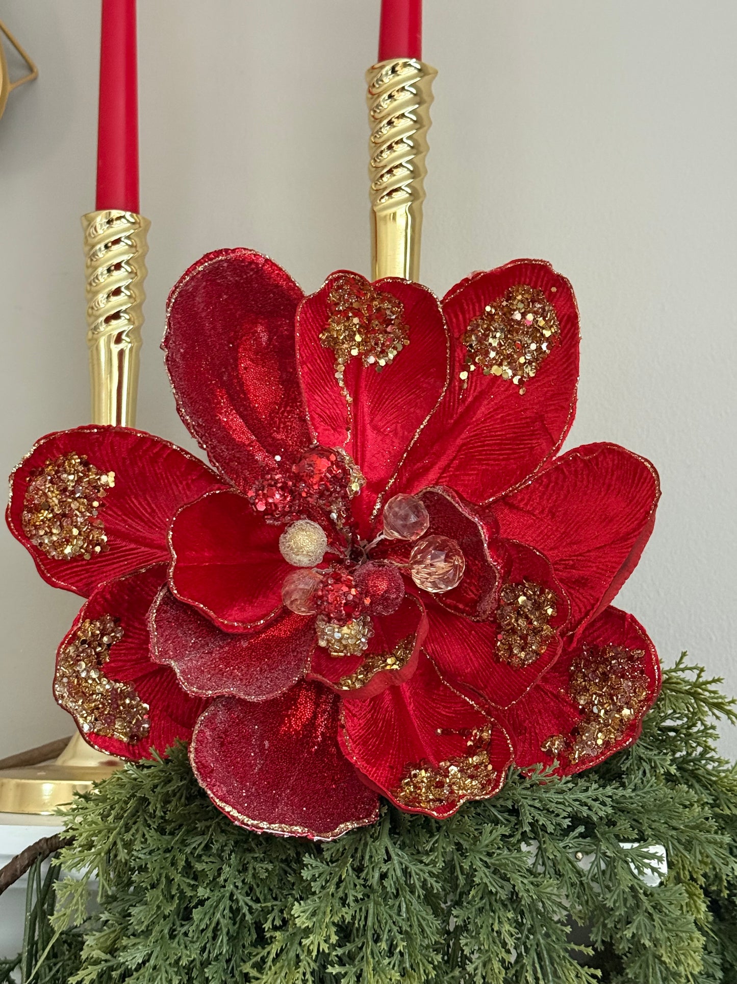 Red Yewered Magnolia Stem