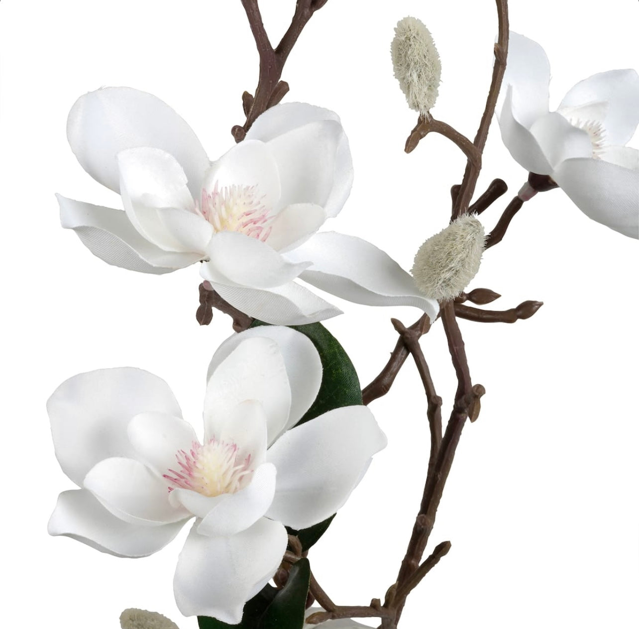 Set of 6 magnolias