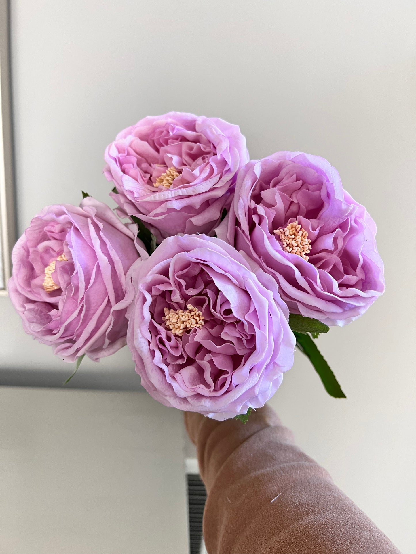 Juego de 4 peonies lila con toque real